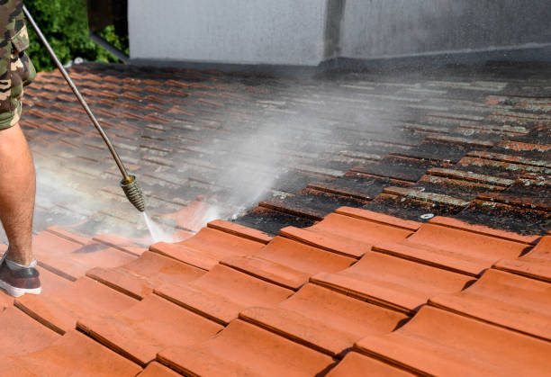 Best Residential Pressure Washing Services  in Shelton, CT