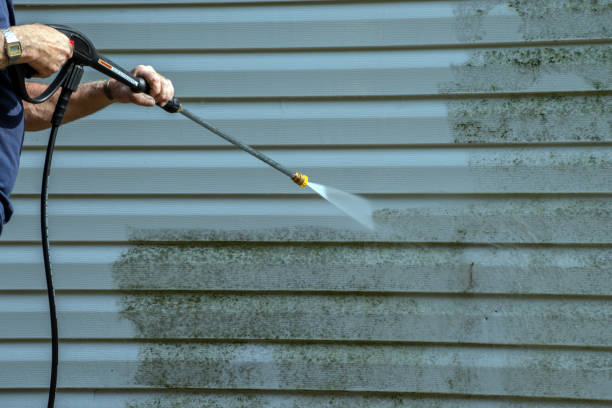 Best Roof Pressure Washing  in Shelton, CT