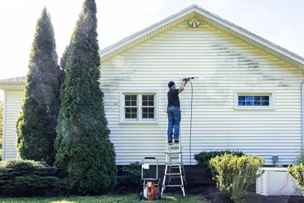 Best House Pressure Washing  in Shelton, CT